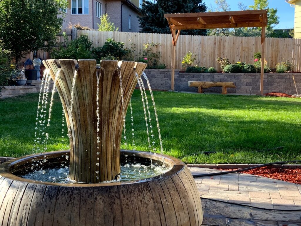 DM Backyard 1